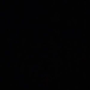 Meet your Posher, Max